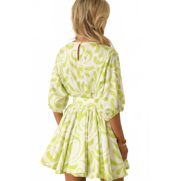 NEW PROSPERINA fallon swing dress in brush strokes print